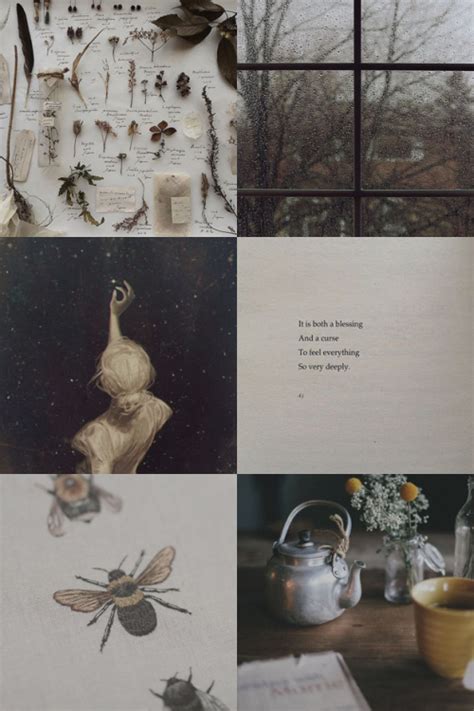 Mbti Aesthetics Infj The Counselor 916 Infjs Are Gentle Caring