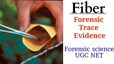 Forensic Fiber Analysis Mcqs Physical Trace Evidence Mcqs Important