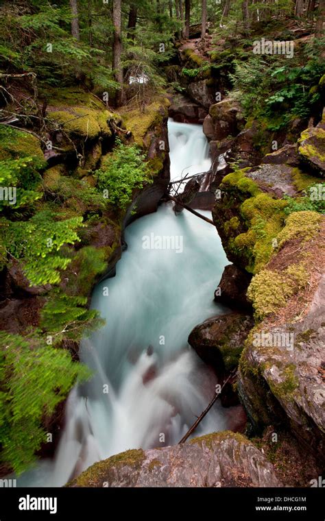 Avalanche Creek Shoots Through The Narrow Walls Of Avalanche Gorge In