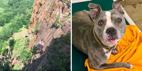 Firefighter Risks Life To Rescue Dog Trapped On Cliff