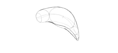 If you follow this guide then you will be drawing amazing. How to Draw a Dolphin Step by Step