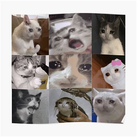 Meme Gato Llorando Dibujo Yama Wallpaper