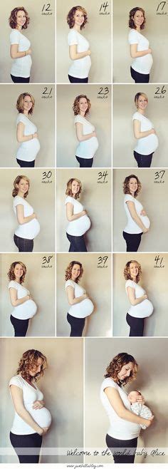 pregnant belly stages by week pregnantbelly