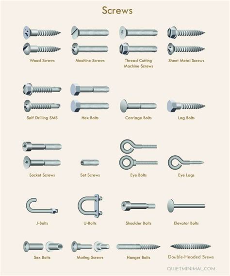 Nail Every Diy Screw Types And Their Best Uses Quiet Minimal