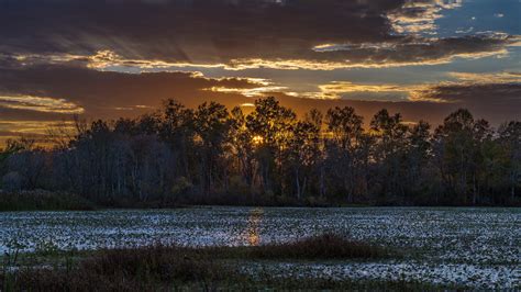 Mckee Beshers Wildlife Management Area Sunset Before Flickr