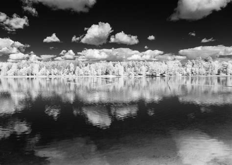 Surreal Landscape Lake With Sky Reflections Infrared Photo Snowy Tree