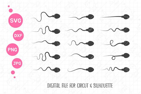 Sperm Svg Human Sperm Cell Clipart Grafica Di Crstocker · Creative Fabrica