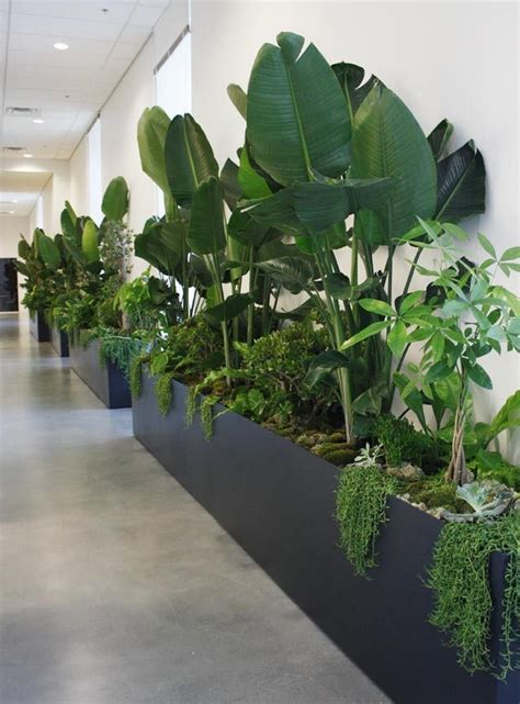 Interior Plant Design