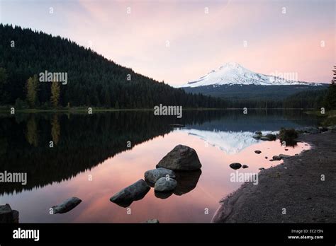 Mount Hood And Trillium Lake At Dusk Hi Res Stock Photography And
