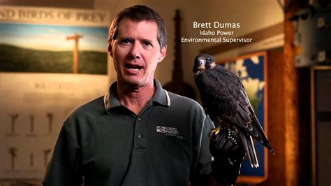 World Center For Birds Of Prey Short Version Youtube