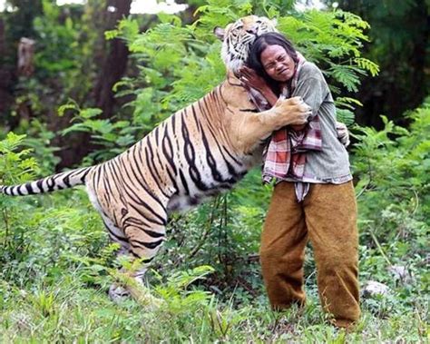Indonesian Man Befriends A Bengal Tiger Big Cat Rescue
