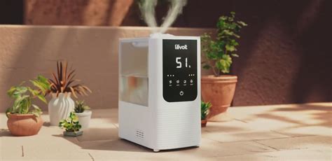 levoit oasismist smart cool and warm mist humidifier review