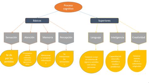 Desarrollo Cognitivo Aplicado A Las TIC Mapa Conceptual Proceso Cognitivo