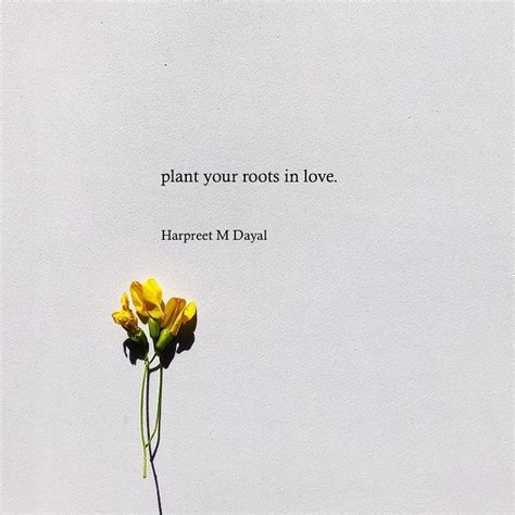 Hmdayal On Instagram In Love 🌼 Flower Quotes Inspirational