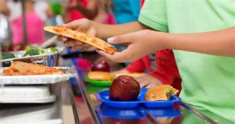 In summer enjoy your meal in the beautiful garden. Safford USD Summer Food Service Program ...