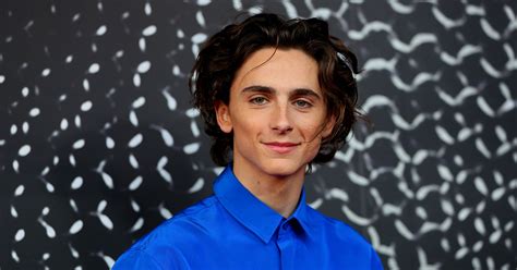 Timothée chalamet is an american actor who's made a splash with films like 'lady bird' and 'call me by your name.' timothée chalamet (born december 27, 1995) received an academy award. Free Movies Starring Timothee Chalamet To Watch Now