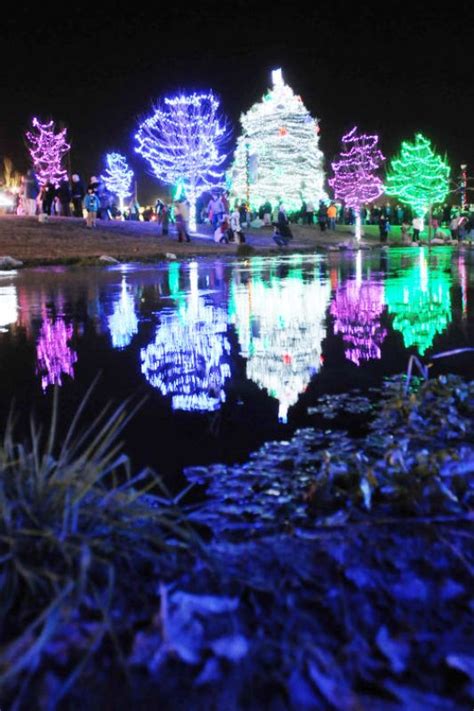 30 Wonderland Christmas Lights Decorations Ideas