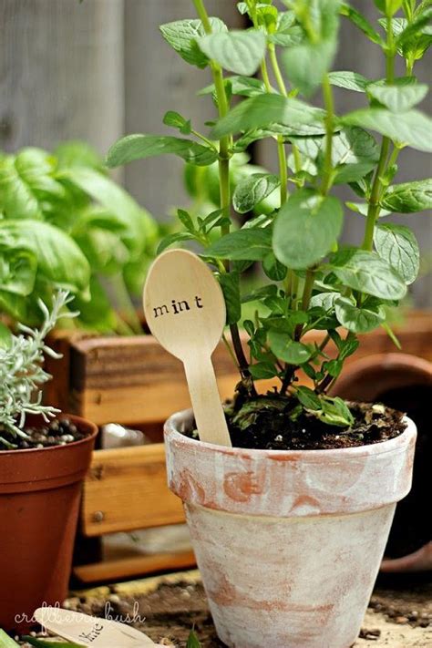 32 Cute Diy Plant Marker Ideas For Container Gardeners Plant Markers