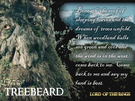 Lord Of The Rings Wallpaper Treebeard Treebeard Lord Lord Of The Rings