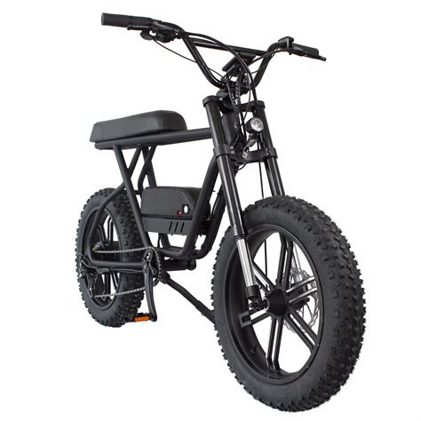 Europe 500w 750w 48v Lithium Battery Electric Bike Mountain Fat Tire