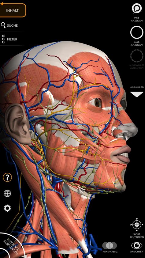 Anatomie 3d Atlas Apk Für Android Herunterladen