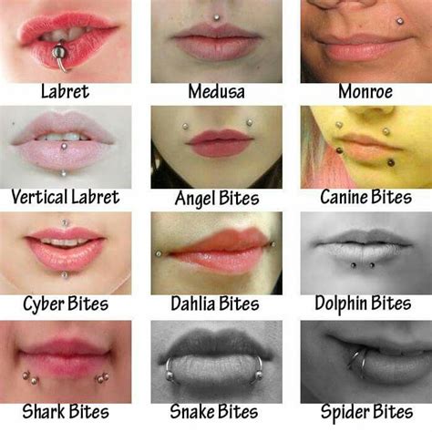 Many Different Types Of Lips With Piercings On Each Lip And The Names