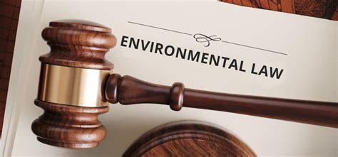 Environmental Law Pheello Dikane Inc