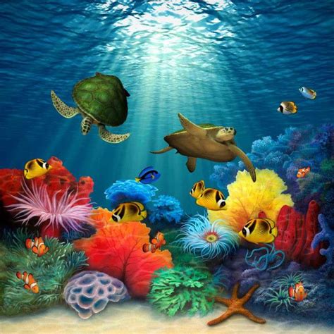 Dive Into A Colorful Coral Underwater Paradise With This Coral Sea Wall