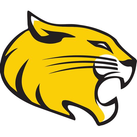 Randolph College Wildcats Color Codes Hex Rgb And Cmyk Team Color Codes