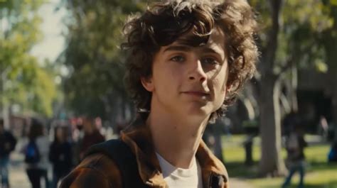 Timothée Chalamet Is All Smiles In The Poster For ‘beautiful Boy I D