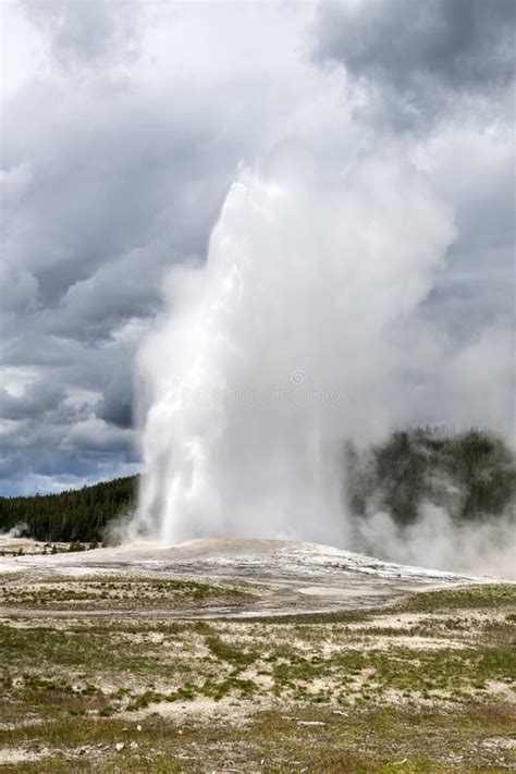 Old Faithful Geyser In Yellowstone National Park Stock Image Image Of