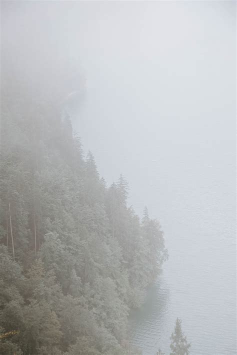 Free Images Fog Mist Atmospheric Phenomenon Sky Haze Water Tree