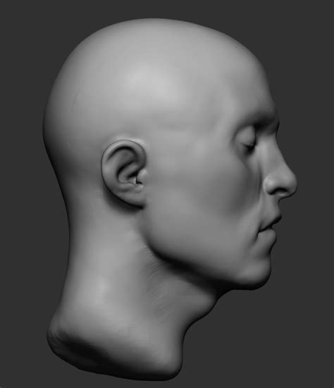 Artstation Stylized Male Head Game Assets