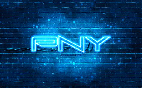 Download Imagens Pny Azul Logotipo 4k Azul Brickwall Pny Logotipo