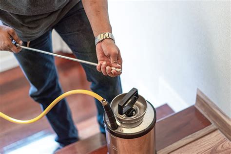 Pest control services in greater new orleans: Home Renewal | Home Checklist - My New Orleans