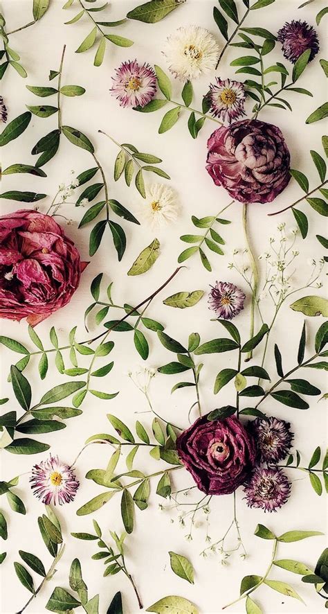 Home » flowers backgrounds » wood floral pattern on wall background wallpaper. Pin on phone backgrounds