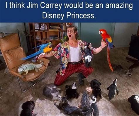 Funny Pictures Of The Day 45 Pics Pet Detective Jim Carrey Funny