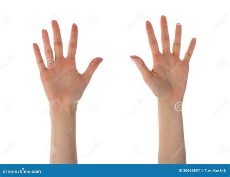 Mãos Fêmeas Que Mostram Dez Dedos Isolados No Branco Fotografia De Stock Royalty Free Imagem