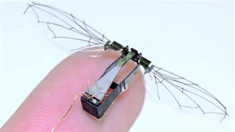 Us Air Force Develops Bio Inspired Micro Drones
