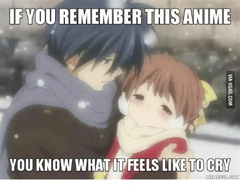 If You Remember This Anime You Know What It Feels Like To Cry Meme