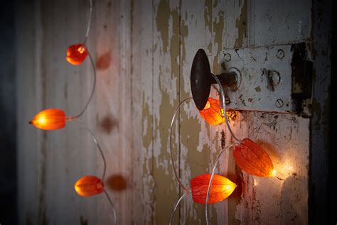 Stimmungsvolle Herbstdeko Ideen mit Lampionblume Physalis