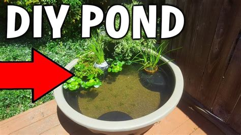 Indoor fish pond i brought my outdoor fish pond to the indoor for the winter. Cheap DIY BACKYARD MINI Pond! - YouTube | Mini pond, Diy pond, Diy backyard