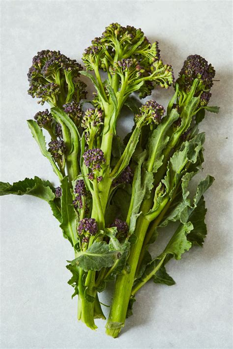 Purple Sprouting Broccoli Recipes Great British Chefs