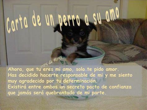 Ppt Carta De Un Perro A Su Amo Powerpoint Presentation Free Download