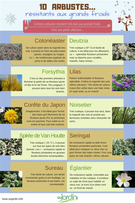 We did not find results for: Arbre Dessin: Arbre Fruitier Resistant A La Secheresse