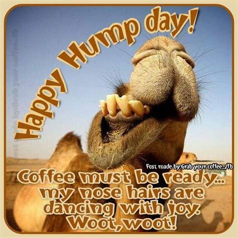 Happy Hump Day Coffee Must Be Ready My Nose Hairs Are Dancing With