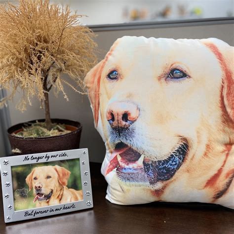 Custom Shaped Dog Pillows Made In Usa All About Vibe