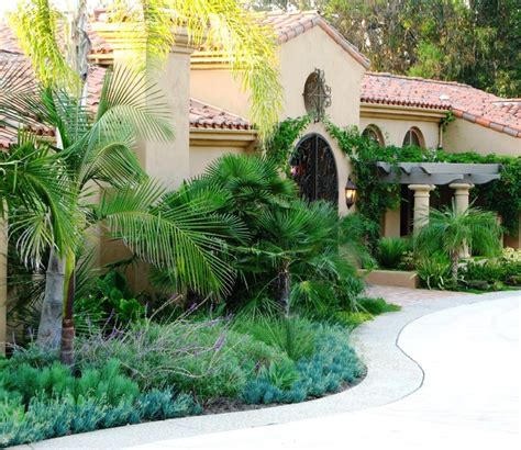 debora carl landscape design Méditerranéen Jardin San Diego par debora carl landscape