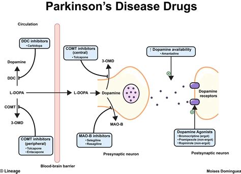 Parkinson Disease Drugs Neurology Medbullets Step 23