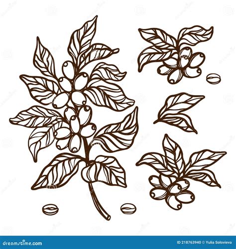 Coffee Outline Branches Clip Art Vector Illustration Set Stock Vector